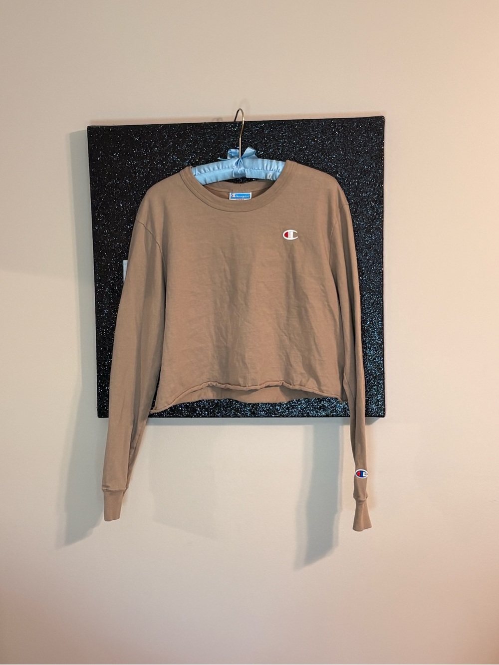 Champion Cropped Long-Sleeve Tee in Tan
